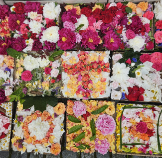 Blumenteppich für Fronleichnam