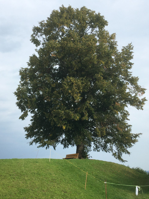 Himmel auf Erden